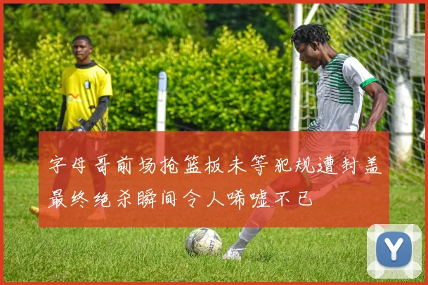字母哥前场抢篮板未等犯规遭封盖最终绝杀瞬间令人唏嘘不已