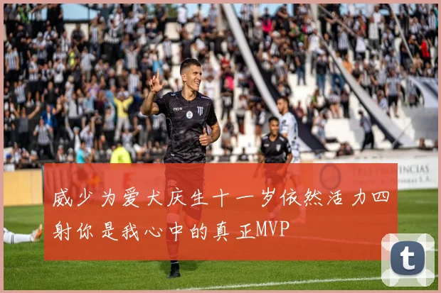 威少为爱犬庆生十一岁依然活力四射你是我心中的真正MVP