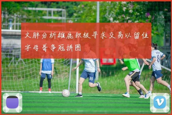 文胖分析雄鹿积极寻求交易以留住字母哥争冠拼图
