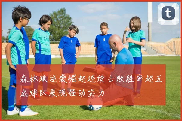 森林狼逆袭崛起连续击败胜率超五成球队展现强劲实力