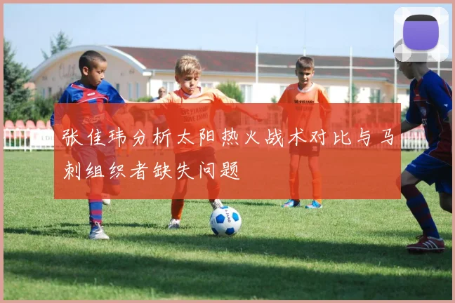 张佳玮分析太阳热火战术对比与马刺组织者缺失问题