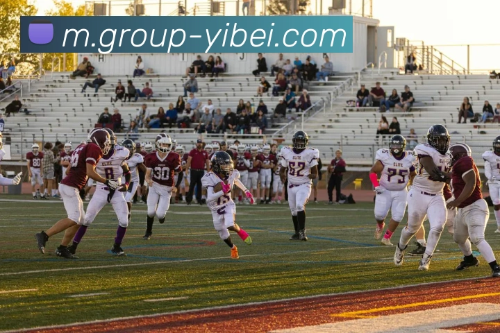 易倍体育平台生态图